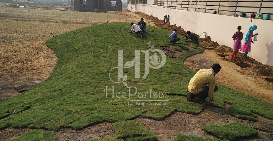 Landscape Installation