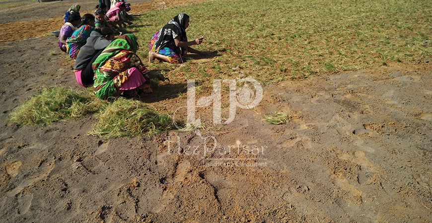 Landscape Installation