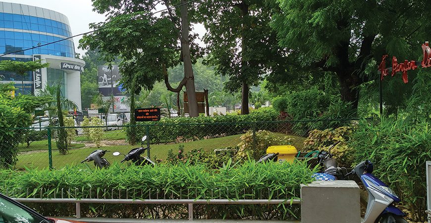 Commercial Landscaping