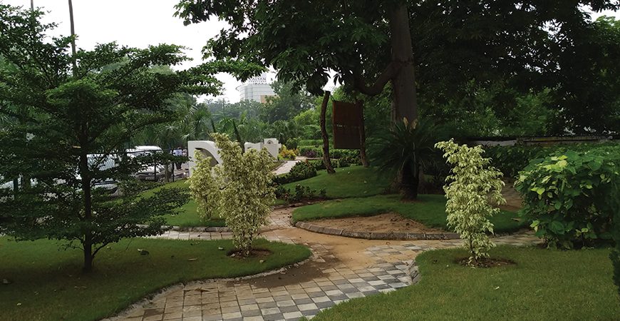 Commercial Landscaping