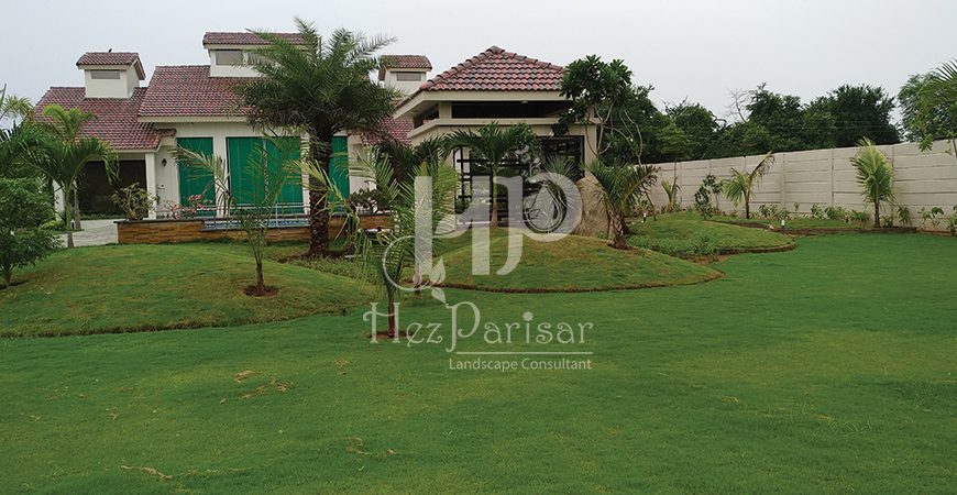 Landscape Maintenance