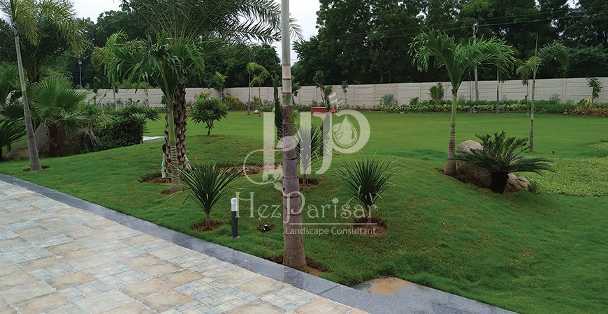 Landscape Maintenance